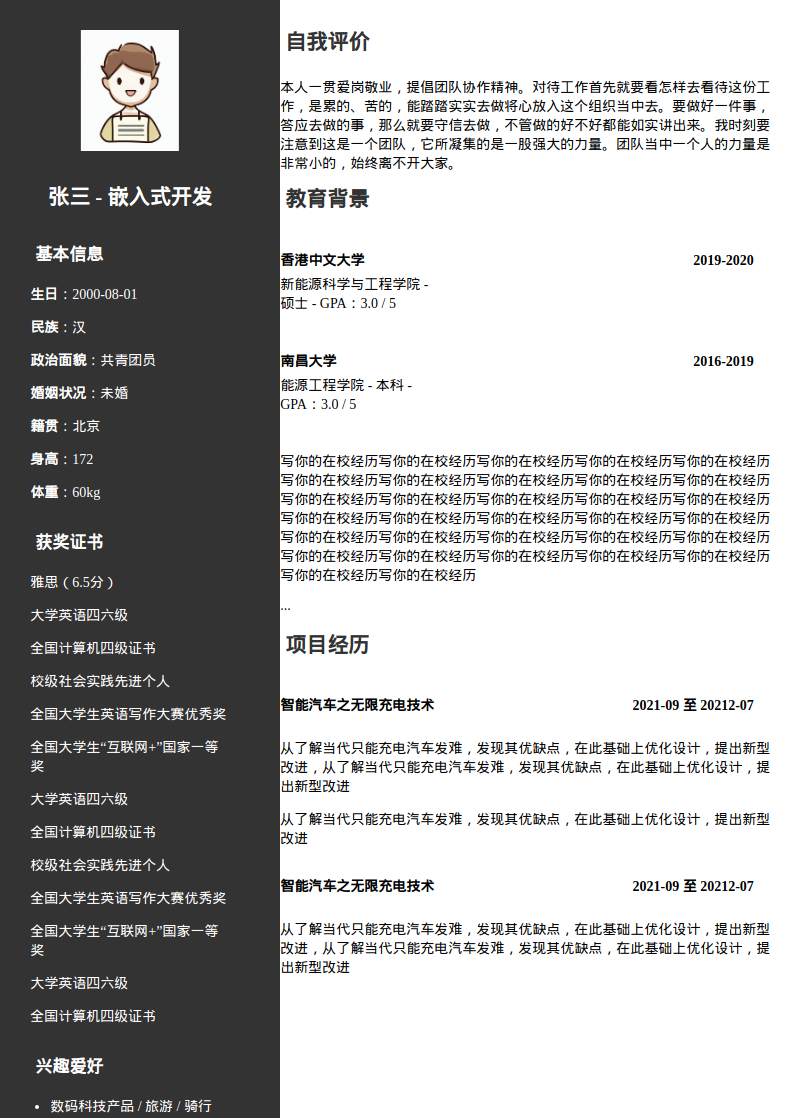 嵌入式开发工程师简历模板预览图